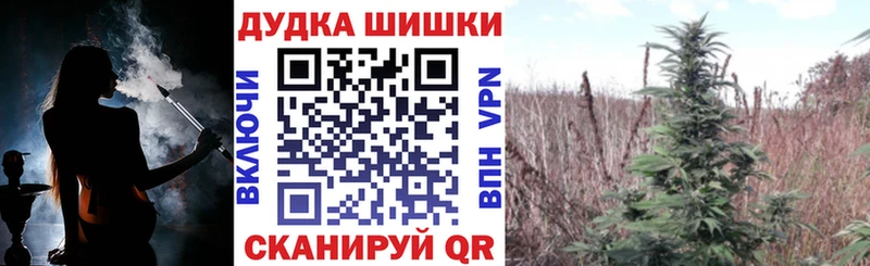 Где можно купить наркотики Нариманов ОМГ ОМГ ТОР  Cocaine  Меф  NBOMe  Бошки Шишки  Alpha-PVP 