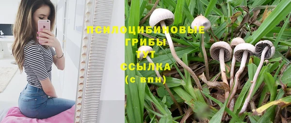 круглые Майский